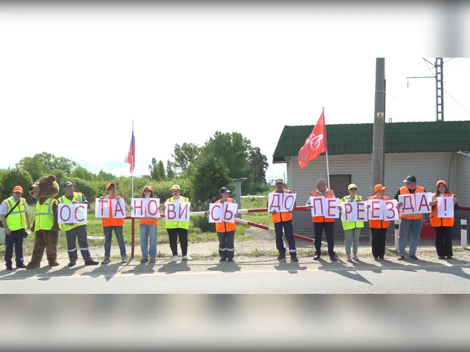 Фото: Раменский медиацентр