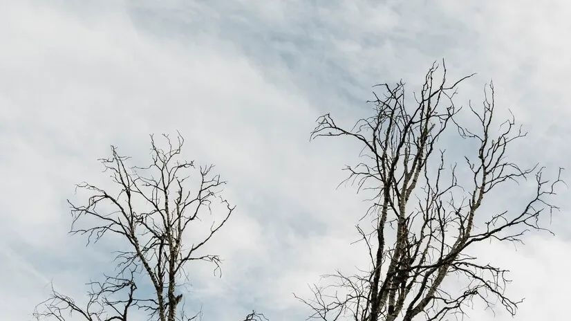 Фото: ru.freepik.com