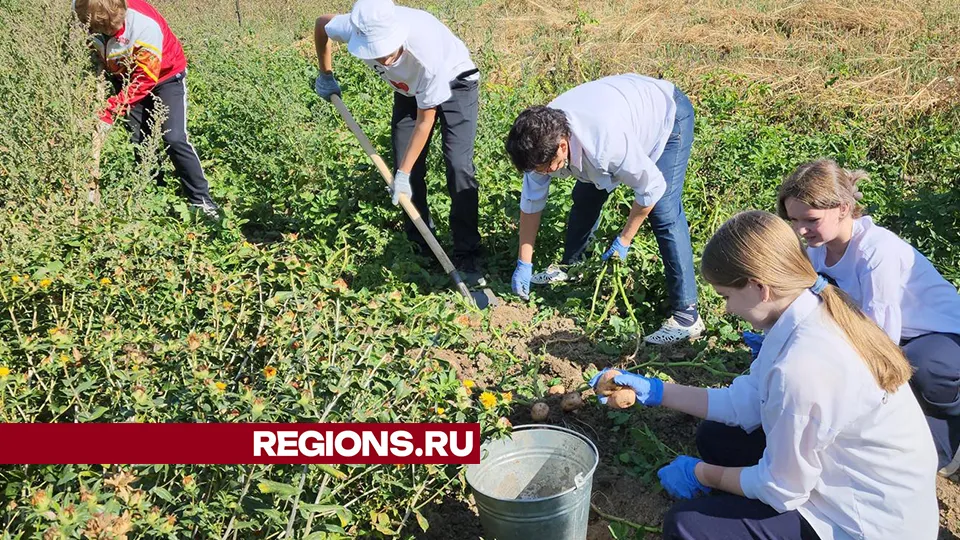 Фото: Андрей Семибратов