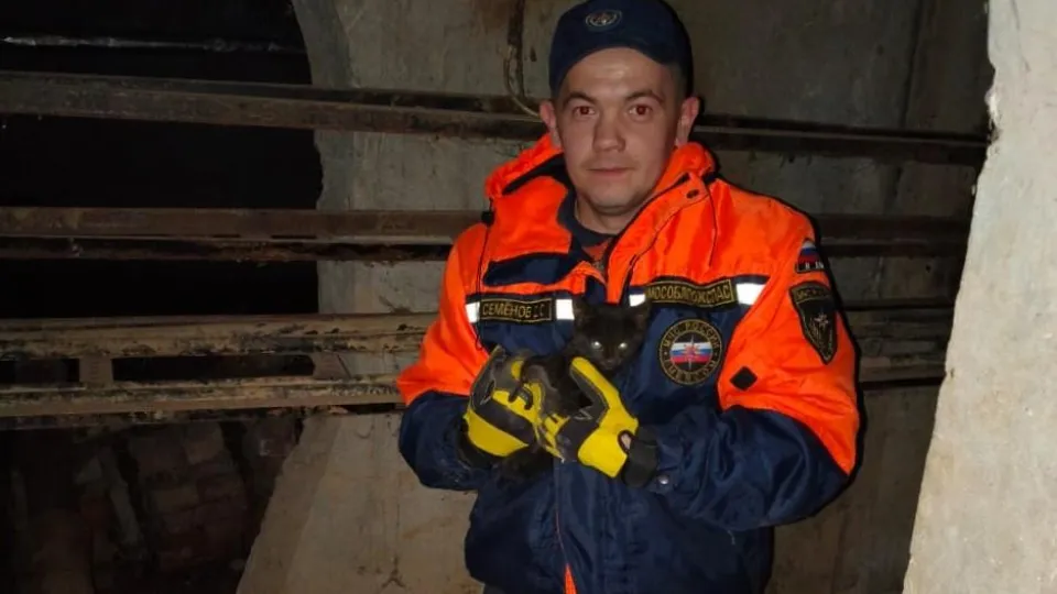 Фото: ГКУ МО «Мособлпожспас»