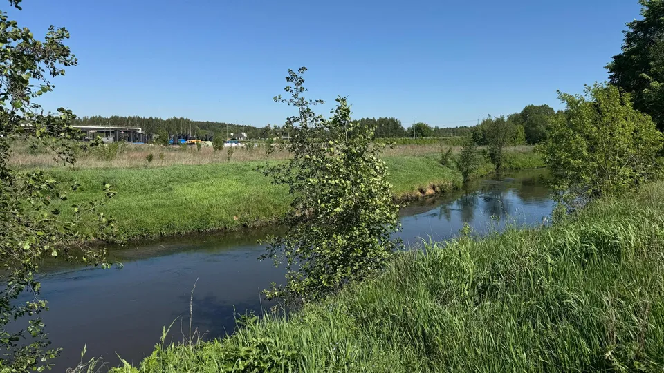 Фото: Анна Дука