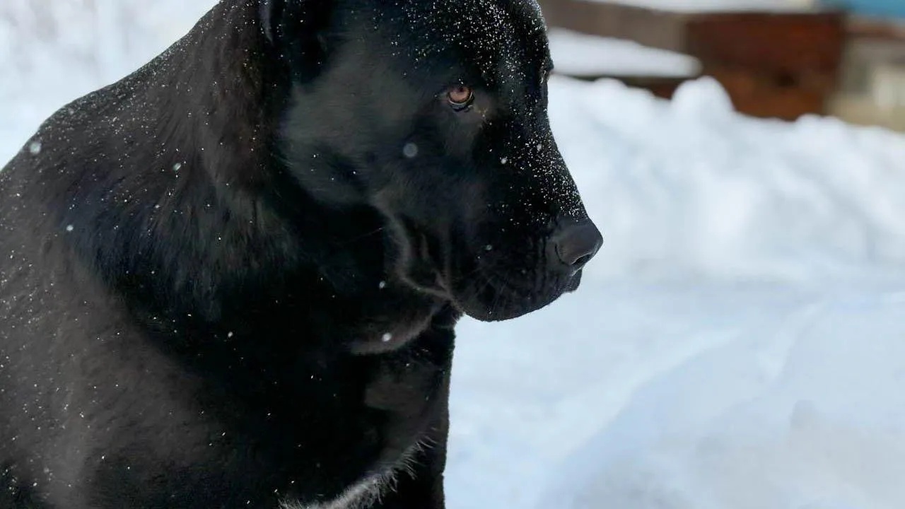 REGIONS/Полина Крачун