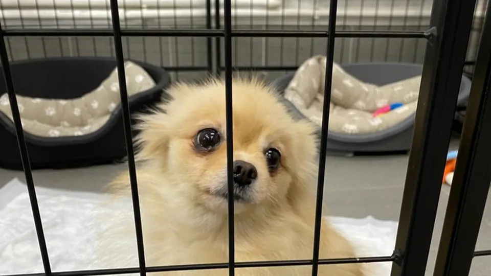 Фото: vk.com/МОУ СОШ № 2 г.Лыткарино