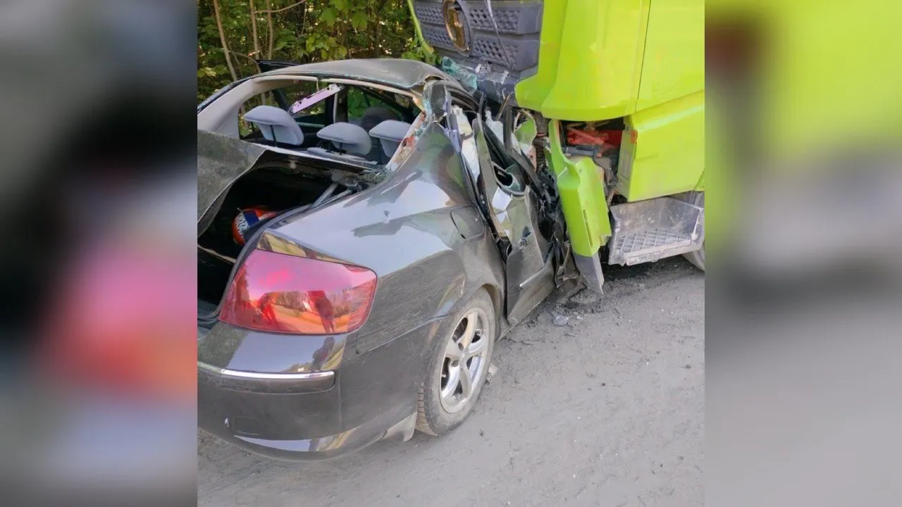 Фото: t.me/dtp777