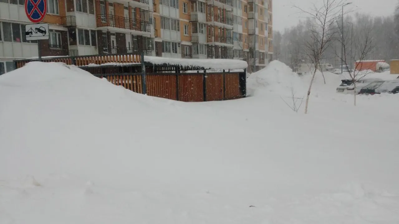 пресс-служба администрации г.о. Люберцы