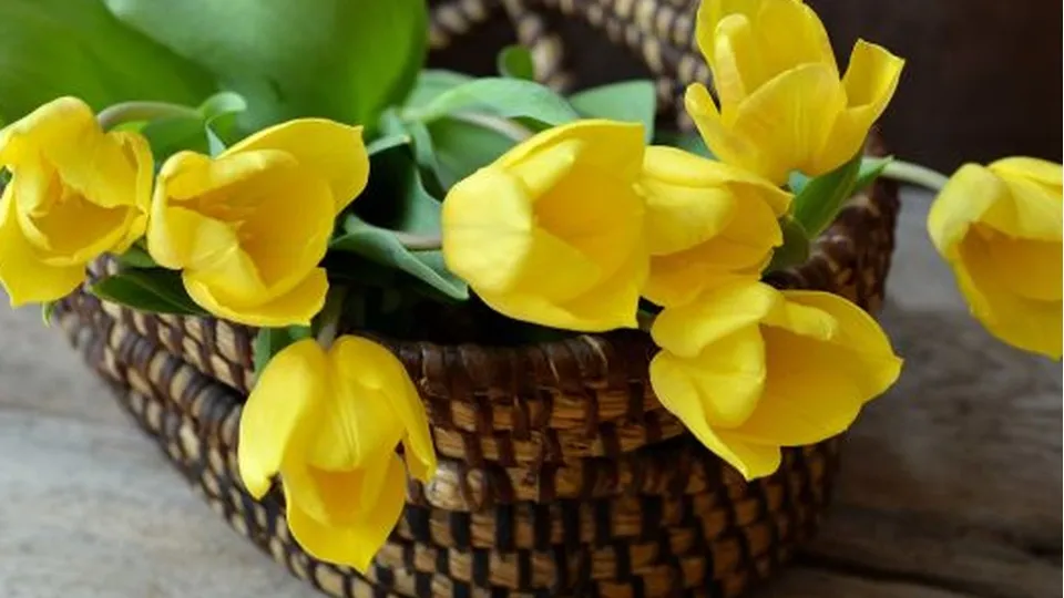 Фото: pxhere.com