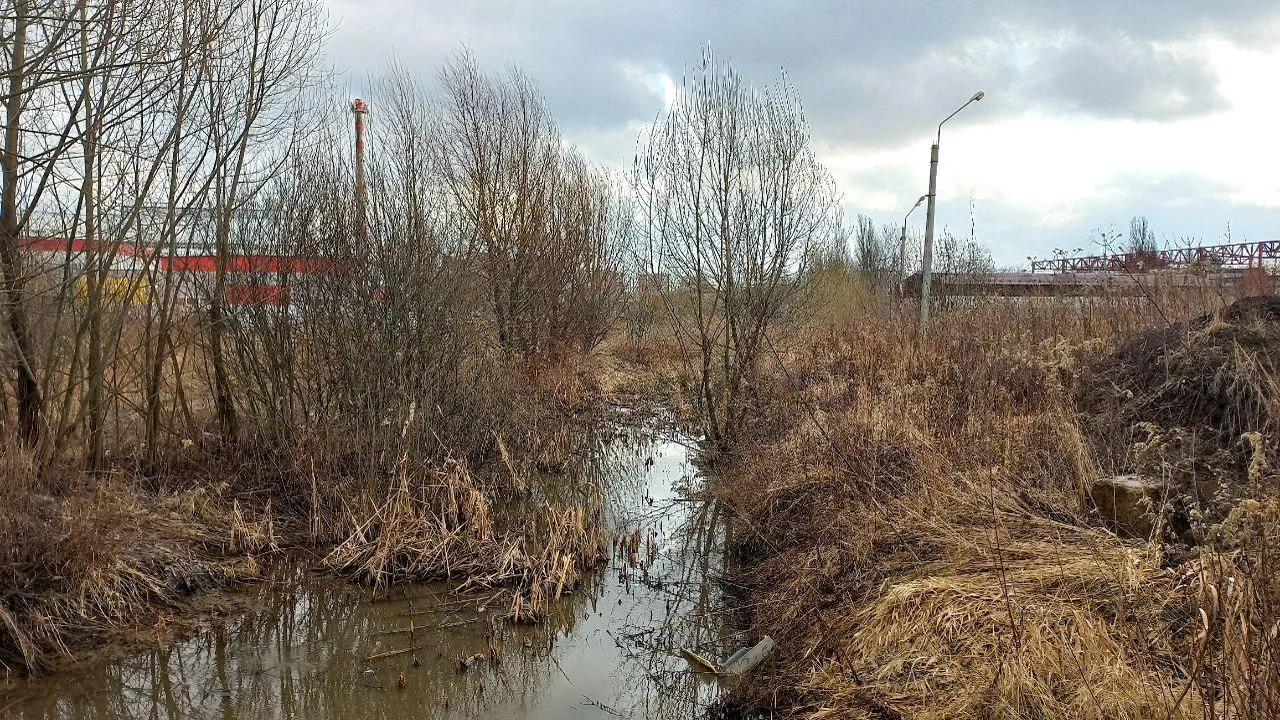 REGIONS/Олег Книжник