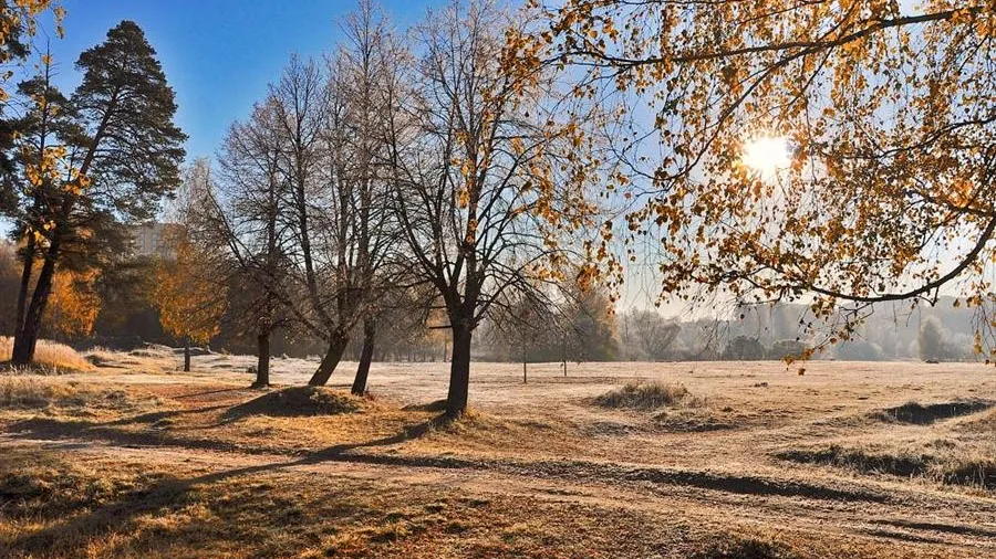 МедиаБанк Подмосковья