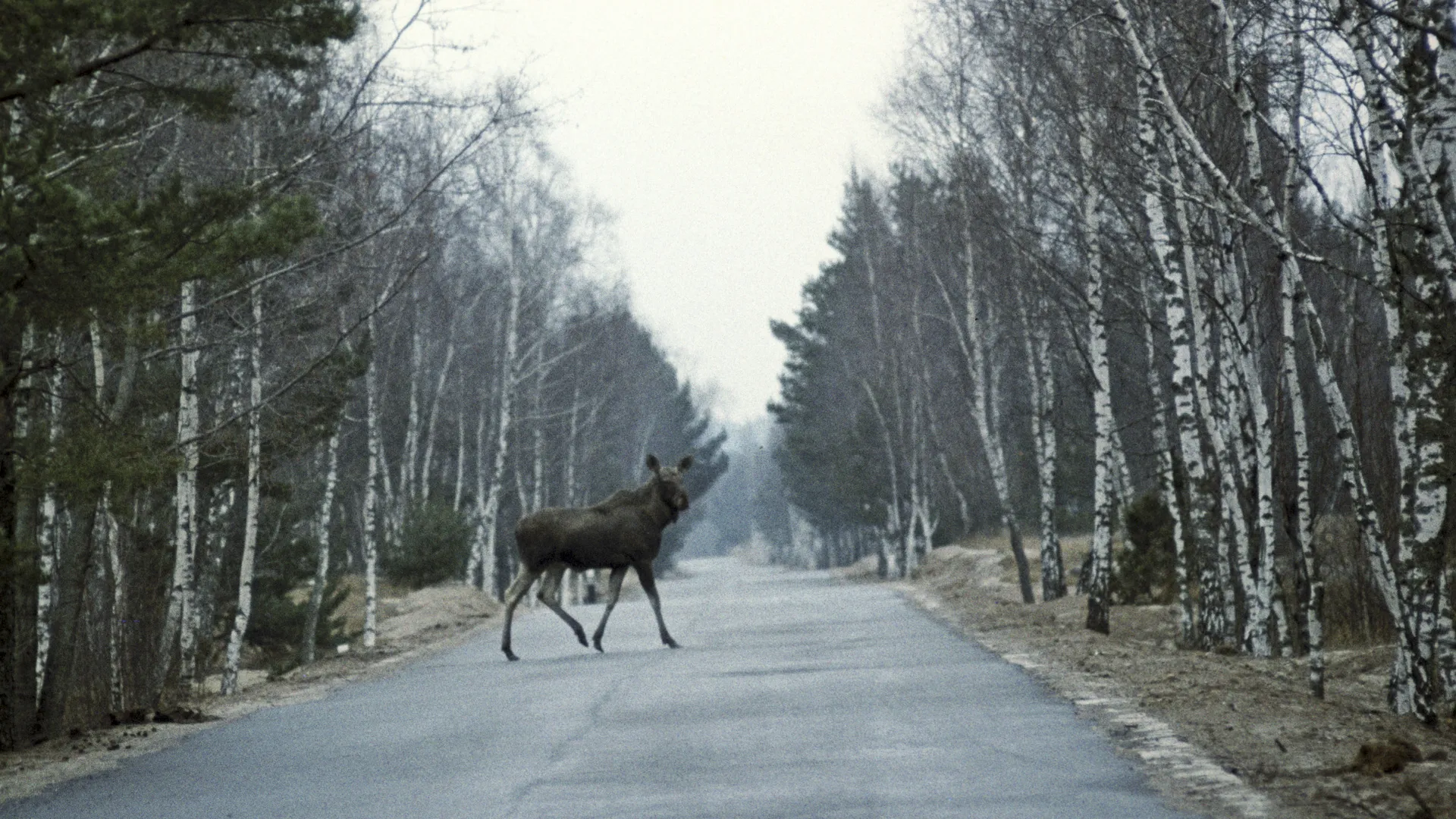 Фото: unsplash.com