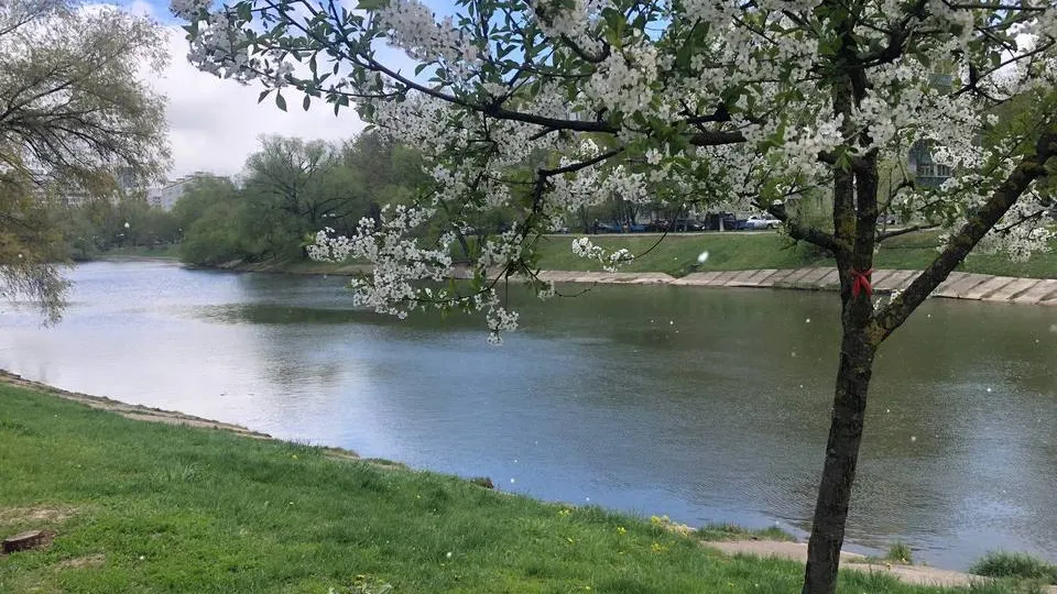 Фото: REGIONS/Дарья Назарова