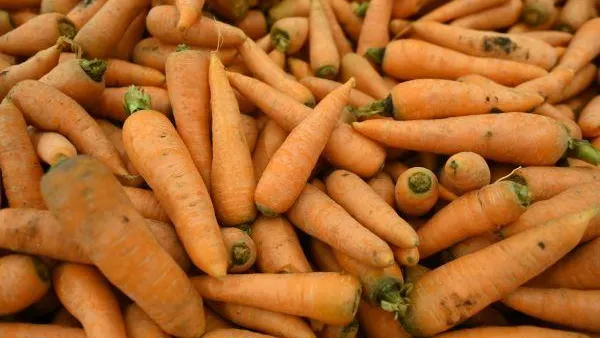 Врач назвал продукты с высоким содержанием витамина Е