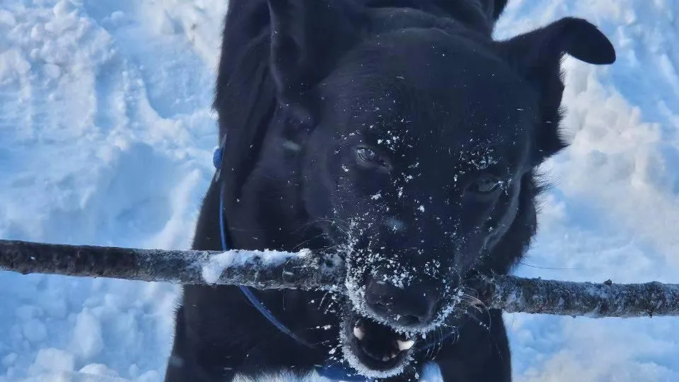 Министерство жилищной политики Московской области