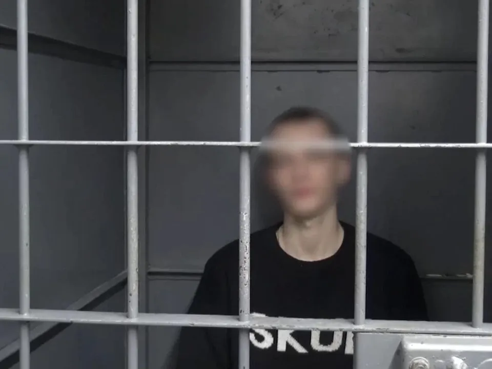 Фото: управление МВД РФ по Московской области<br>