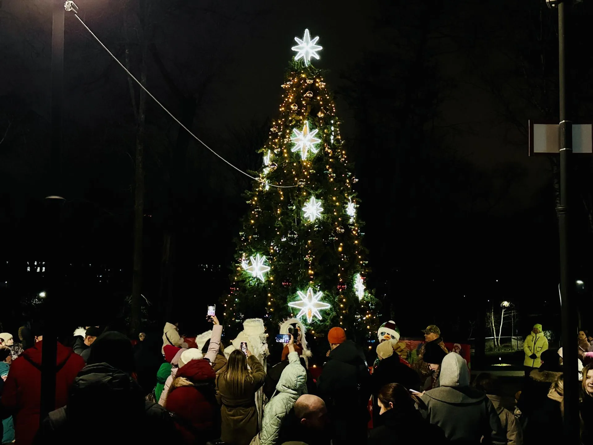 Фото: МедиаБанк Подмосковья/Ольга Стаферова