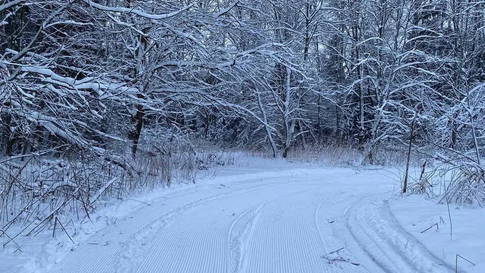 Фото: t.me/ShahovskayaOFF