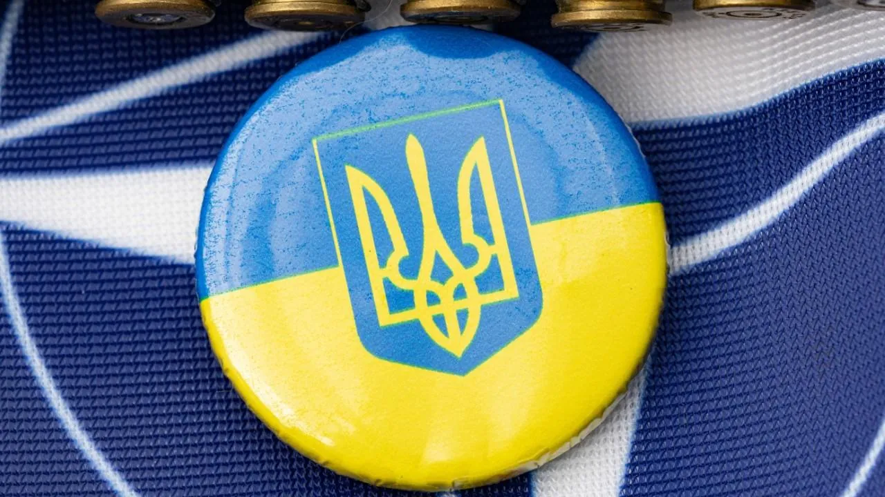 В НАТО считают, что в Вильнюсе не примут решение по графику присоединения Украины