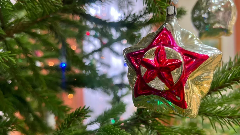 Фото: МедиаБанк Подмосковья/Анна Тюрюмина