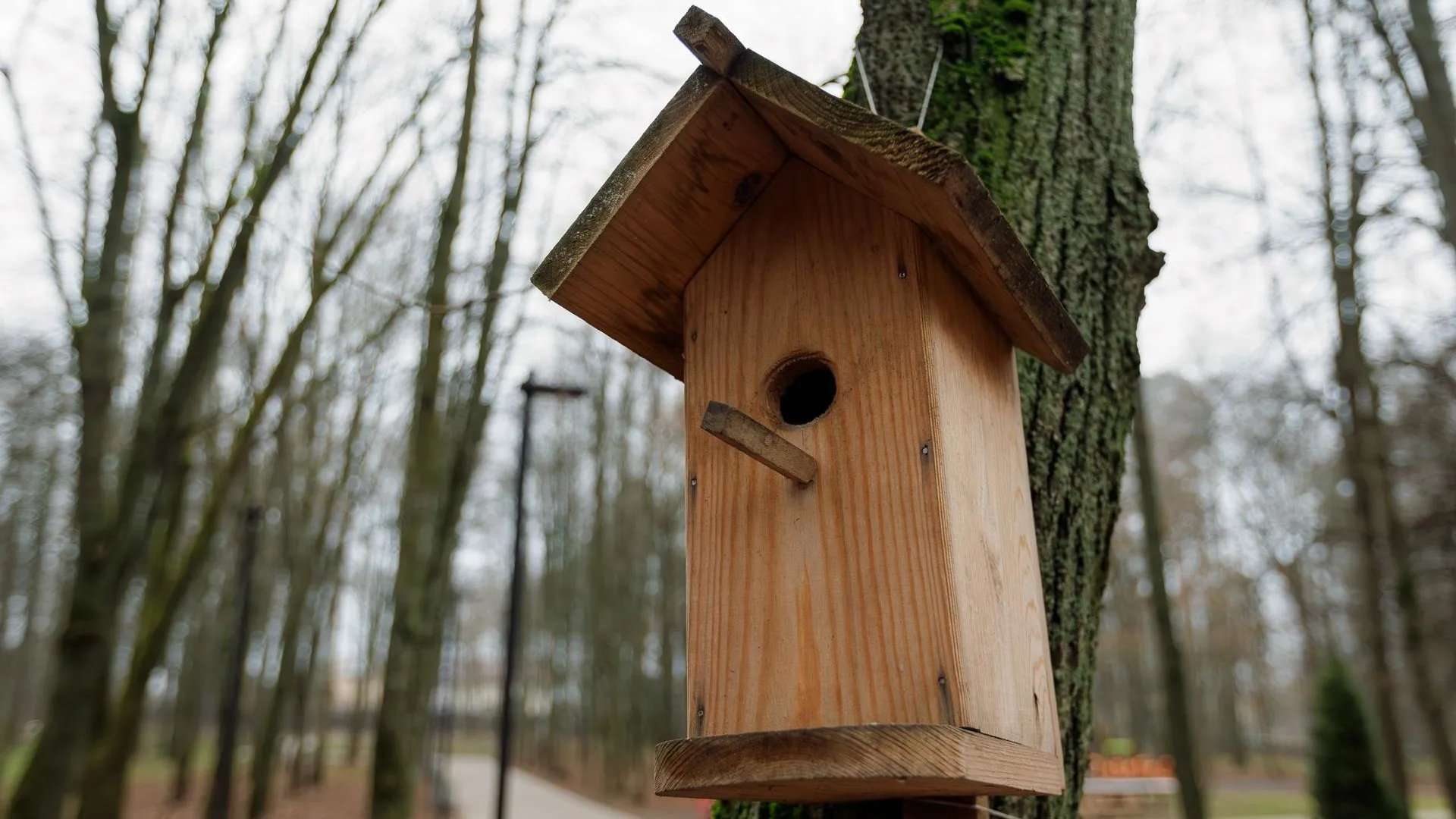 медиасток.рф