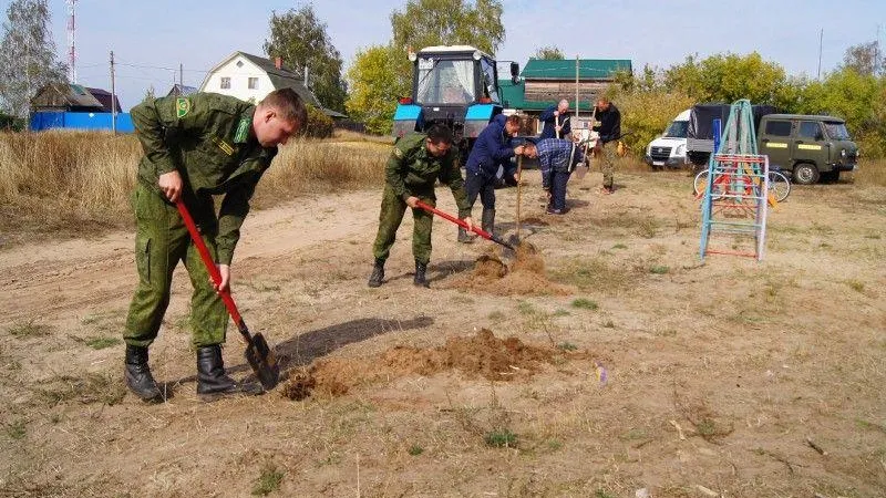 Рябиновая аллея появилась в поселке Белоомут в городском округе Луховицы