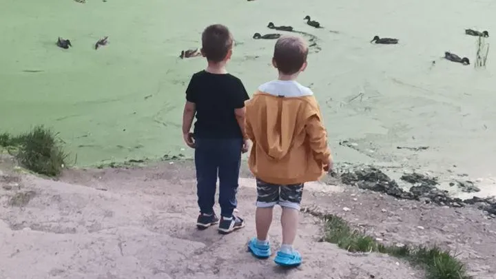 Фото: Елена Григорьева