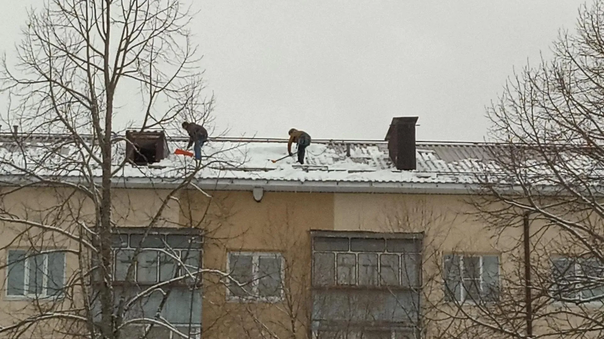 МедиаБанк Подмосковья/Анастасия Новак