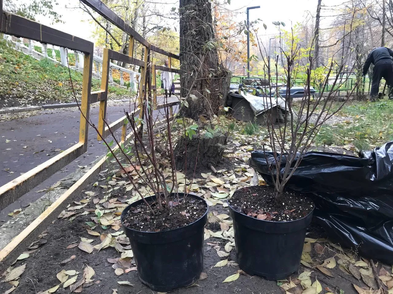 Фото: администрация г.о. Люберцы