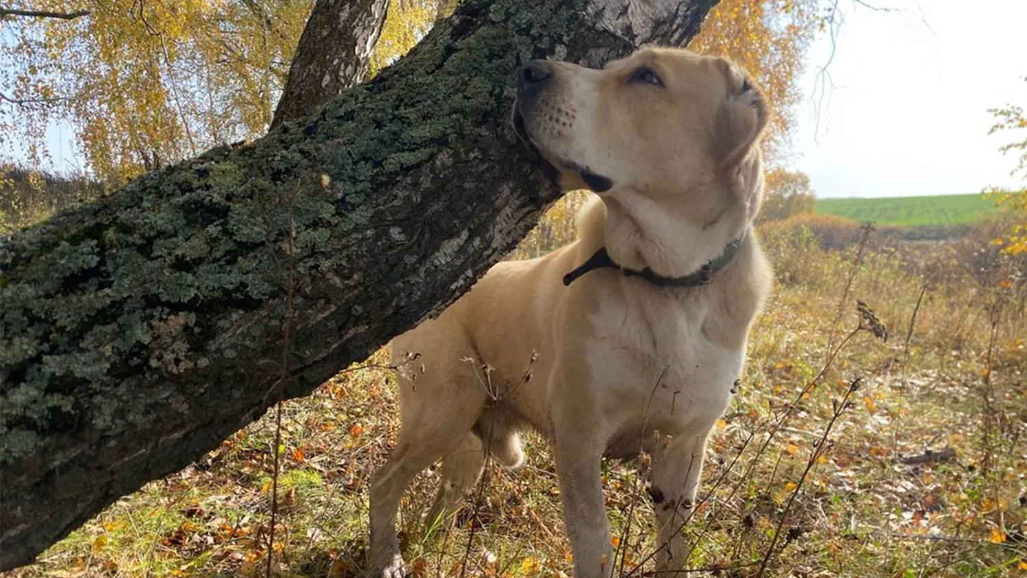 Фото: vk.com/svyatopole