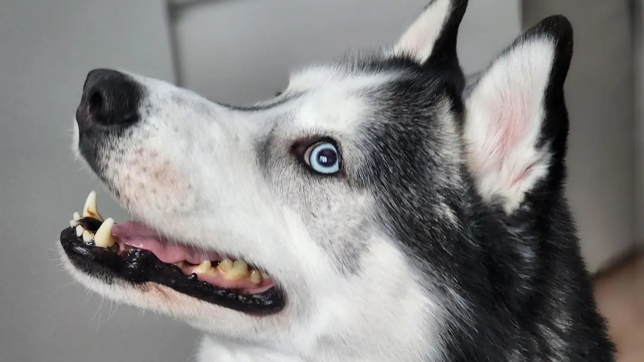 REGIONS/Роман Савельев