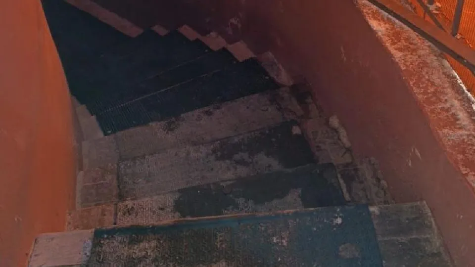 Фото: администрация Одинцовского городского округа