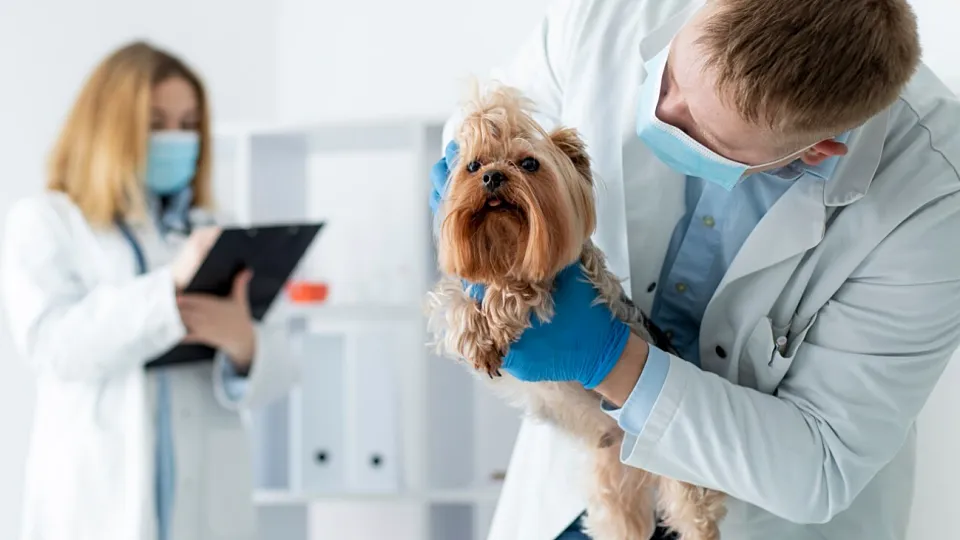 Фото: freepik.com