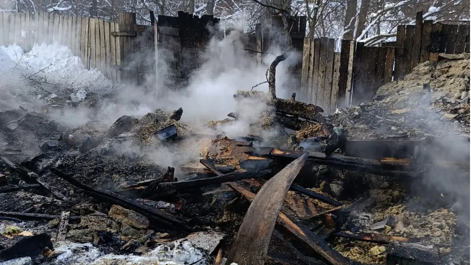 фото: Мособлподспас