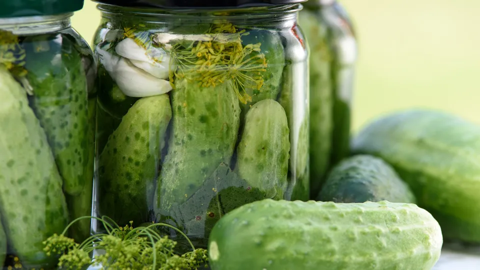 Фото: pxhere.com