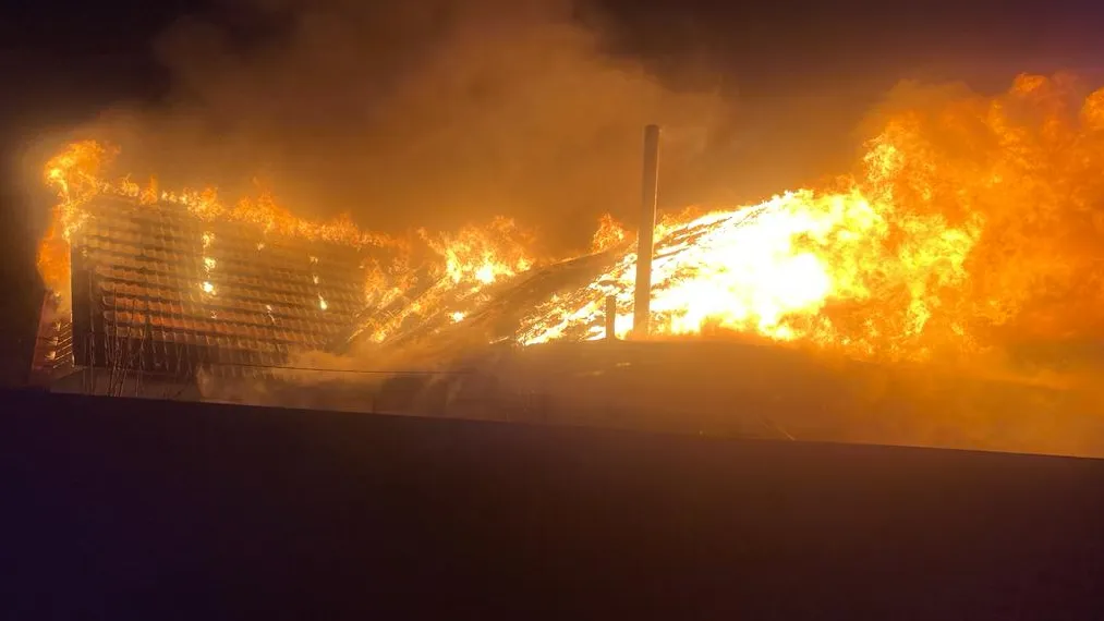 Фото: ГКУ МО «Мособлпожспас»