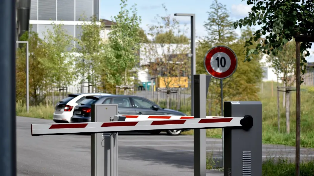 Фото: unsplash.com