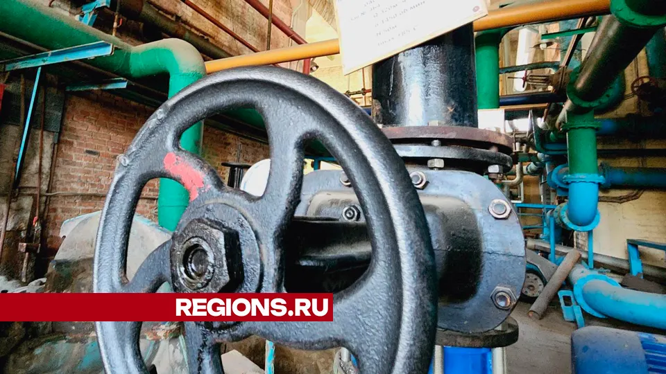 Фото: Юлия Андросова