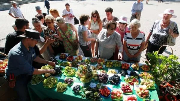 Тепло и солнечно будет в области