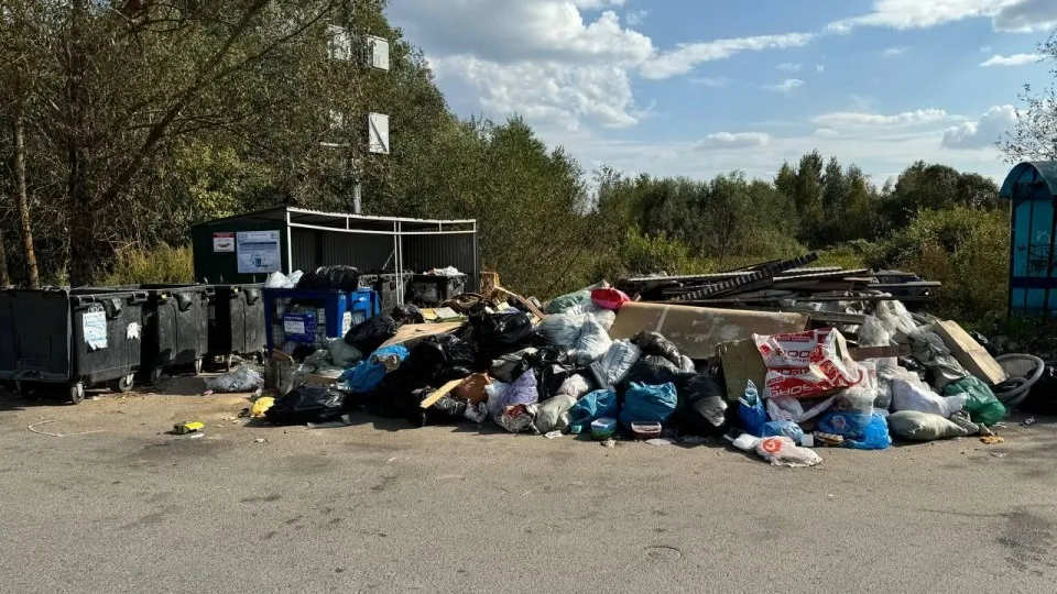 Фото: Татьяна Прокофьева