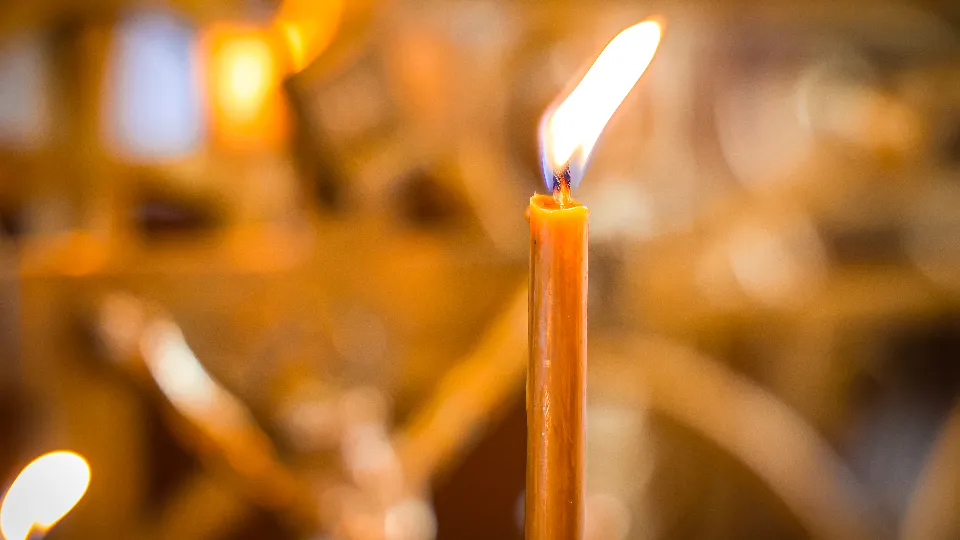 Фото: МедиаБанк Подмосковья/Данила Кирьянов