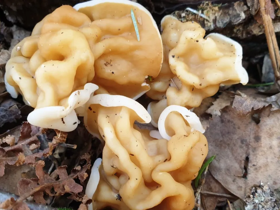 Фото: МедиаБанк Подмосковья/Анастасия Новак