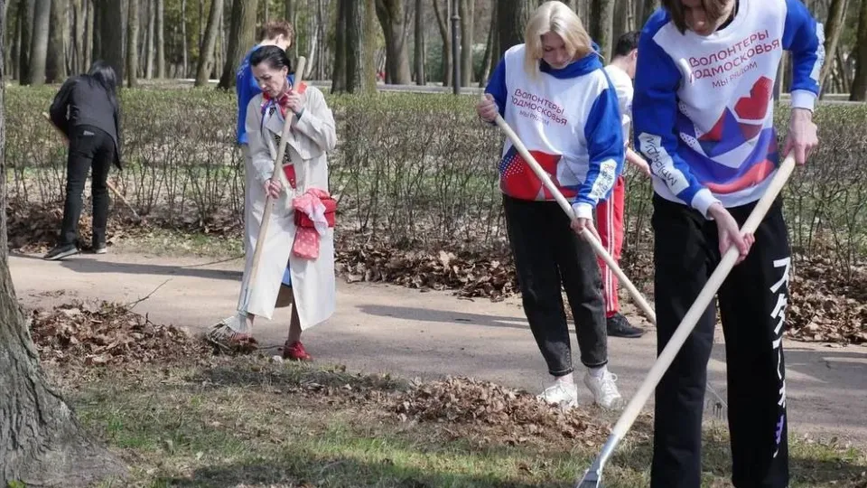 Фото: пресс-служба администрации г.о. Красногорск