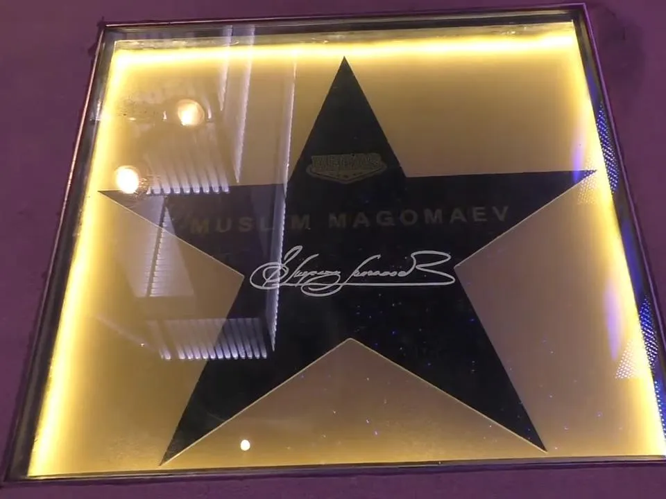 Депутат Шолохов предлагает создать в Москве «Аллею славы» по аналогии с голливудской