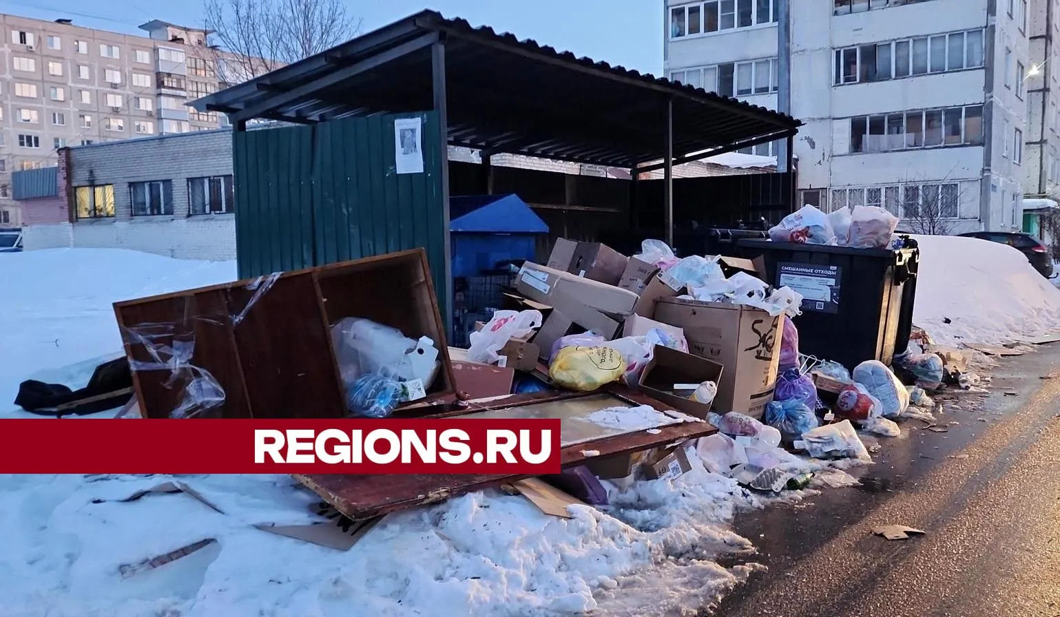 Фото: Нина Басистая