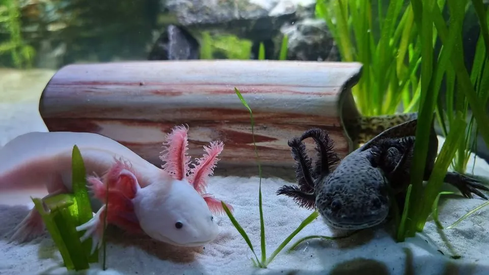 Фото: unsplash.com