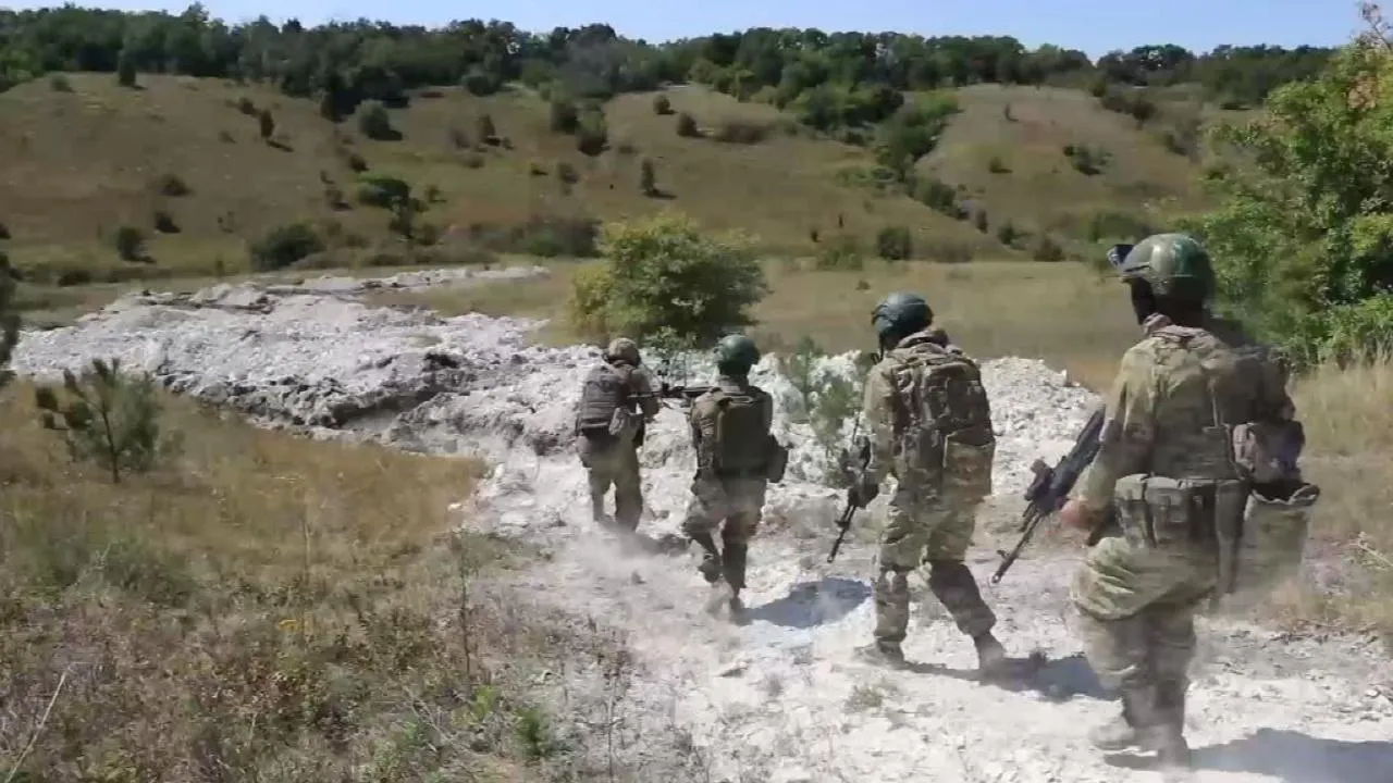Птичье и выемка в днр