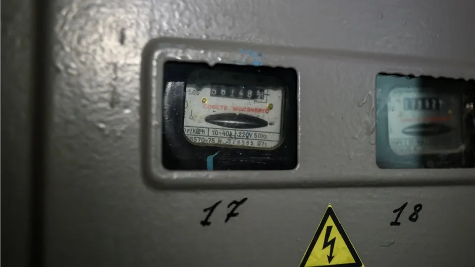 Фото: Медиаархив Подмосковья/Николай Корешков