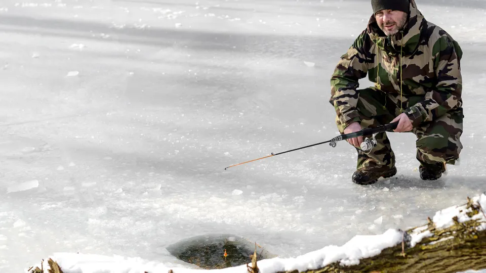 Фото: istockphoto.com/stock_colors