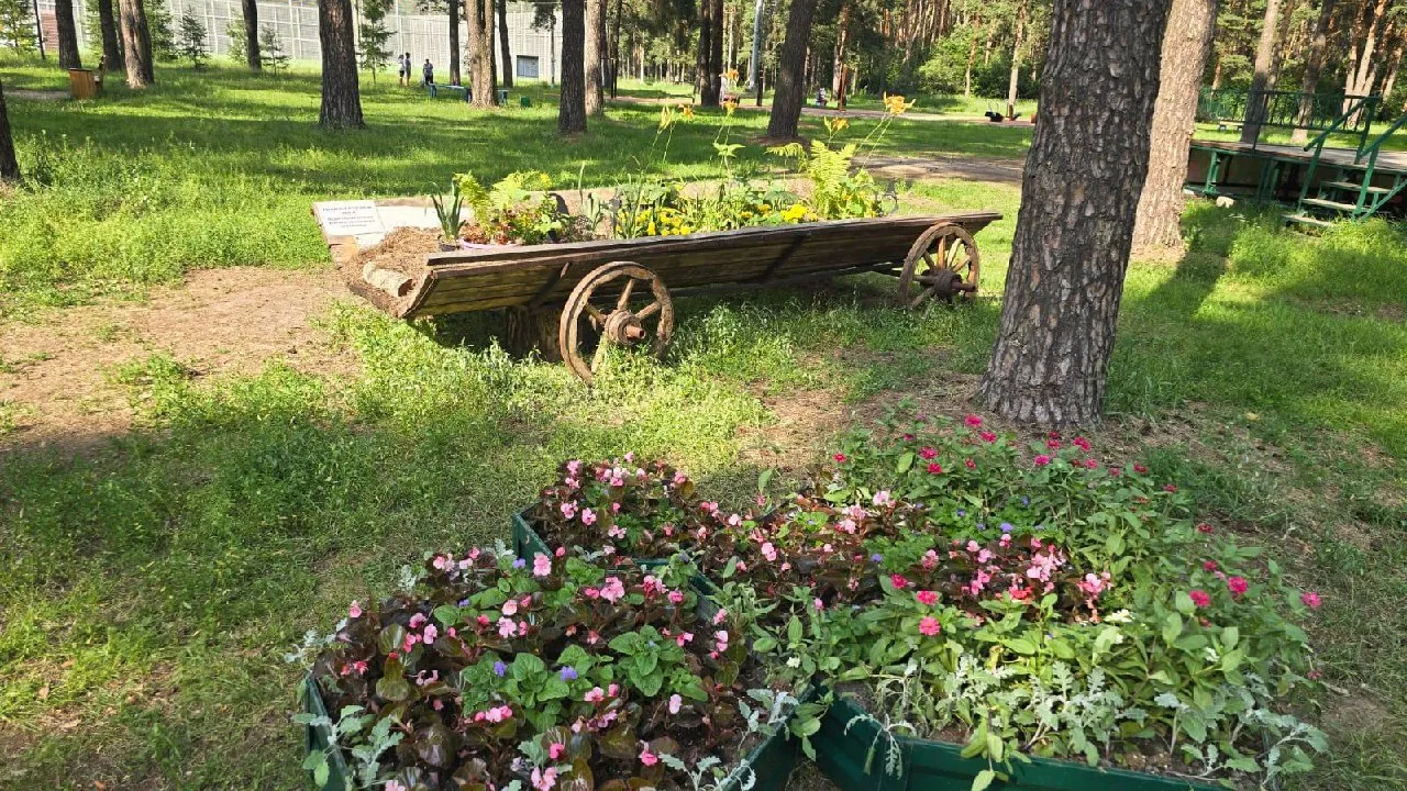 Фото: t.me/kuz_les