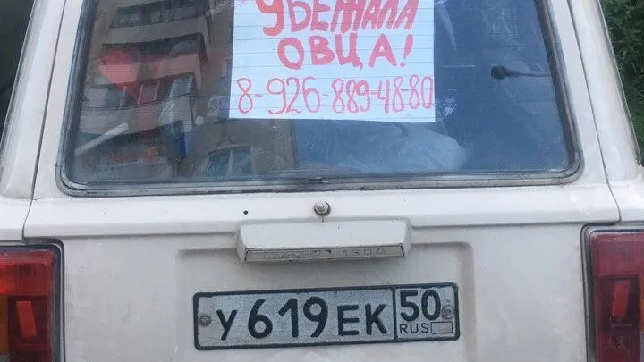 Kosha / пользователь ВКонтакте