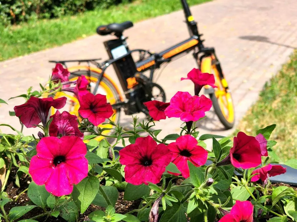 Фото: Мария Панина