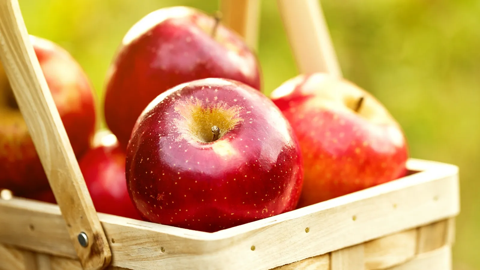 Фото: freepik.com